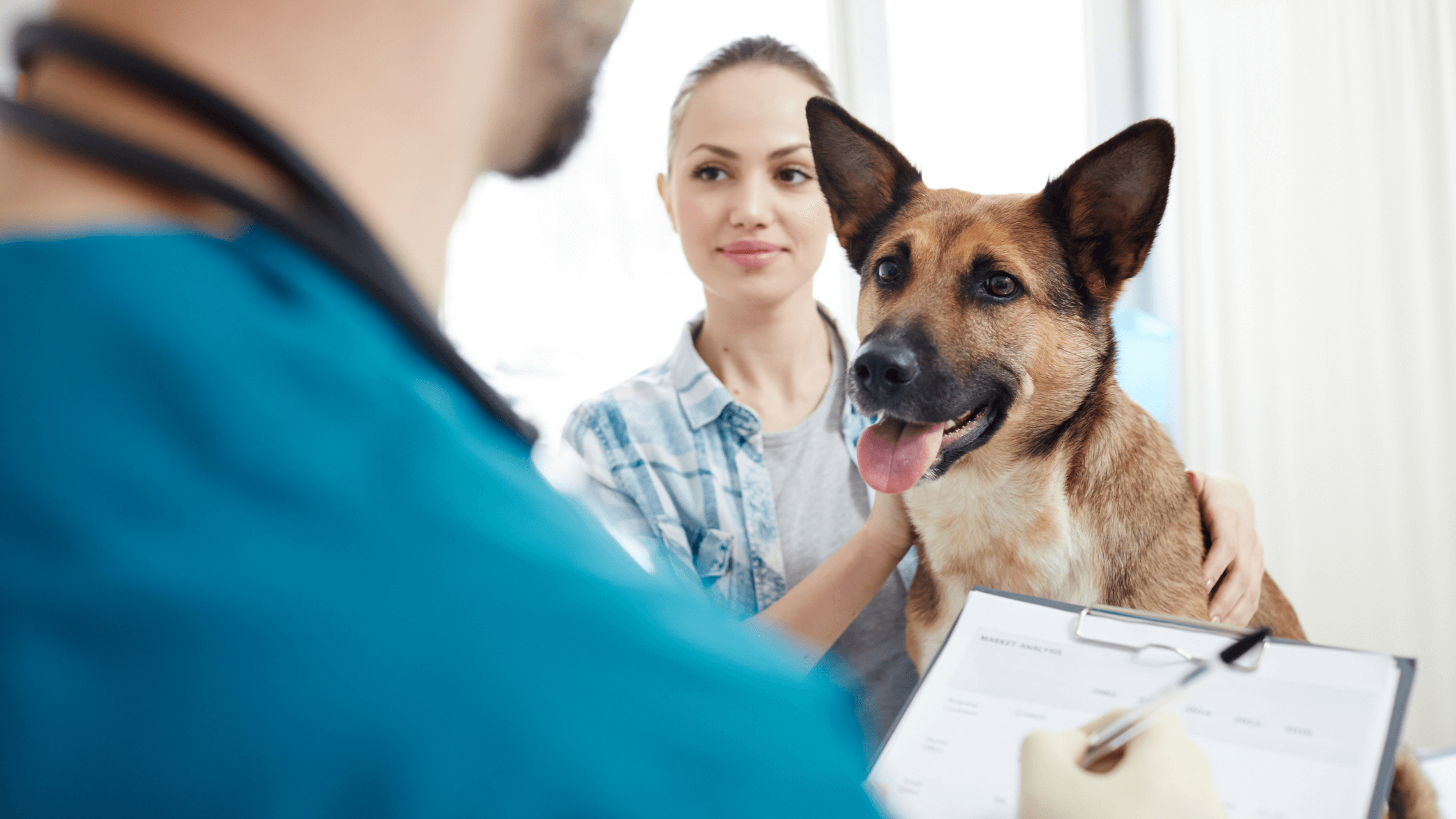 Here’s Why This Pet Insurance Stock is a Strong Buy